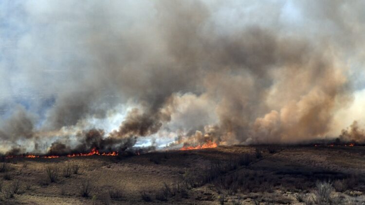 Los incendios en el Delta del Paraná avivaron la necesidad de contar con una ley.
