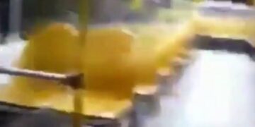 Aterrador: un chofer captó el momento en el que una pasajera fantasma le pide bajar del colectivo