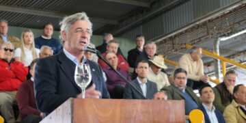 Pino llamó a ser «responsables» a la hora de votar