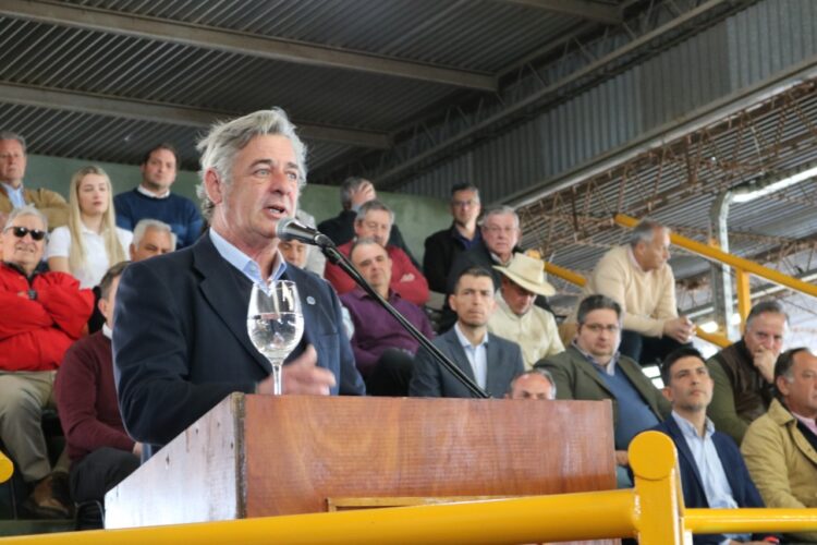 Pino llamó a ser "responsables" a la hora de votar
