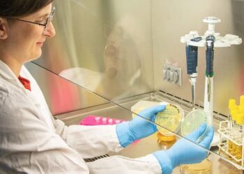 Investigadoras descubren cómo combatir una bacteria resistente a los antibióticos