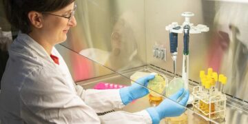 Investigadoras descubren cómo combatir una bacteria resistente a los antibióticos