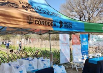 Entregarán 100.000 kits de semillas para realizar huertas familiares y comunitarias