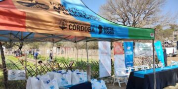 Entregarán 100.000 kits de semillas para realizar huertas familiares y comunitarias