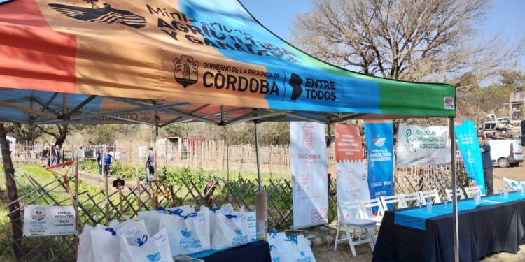 Abrió la inscripción para recibir los kits de semillas del programa Huerta en tu Hogar