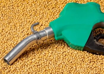 Las exportaciones de biocombustibles se encaminan a ser un récord