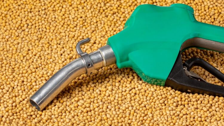 Las exportaciones de biocombustibles se encaminan a ser un récord