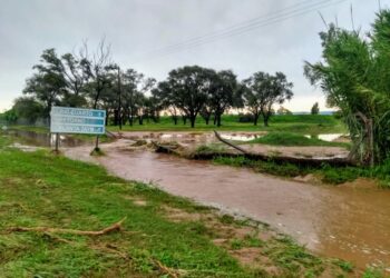 Taym: reabrirán la causa de la inundación en la planta