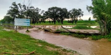 Taym: reabrirán la causa de la inundación en la planta