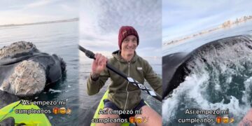 Dos chubutenses subieron a TikTok un video remando entre ballenas y se hicieron virales