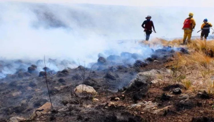 Continúa el riesgo extremo de incendios en Córdoba y se profundiza la sequía