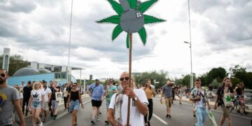 Alemania busca legalizar el consumo recreativo de cannabis