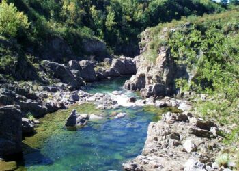 Lammens adelantó que la próxima edición de PreViaje será entre abril y junio