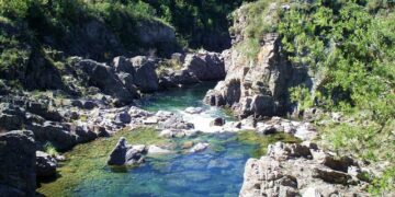 Lammens adelantó que la próxima edición de PreViaje será entre abril y junio