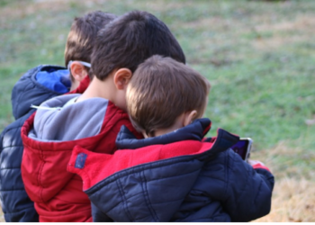 Buscan a familias que estén interesadas en adoptar a tres hermanos