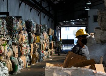Los trabajadores del reciclado buscan que se reconozcan sus derechos sociales