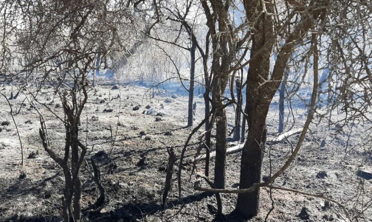 Está contenido el incendio en La Mudana