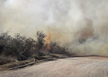 Intensa lucha contra el fuego en el Parque Quebrada del Condorito