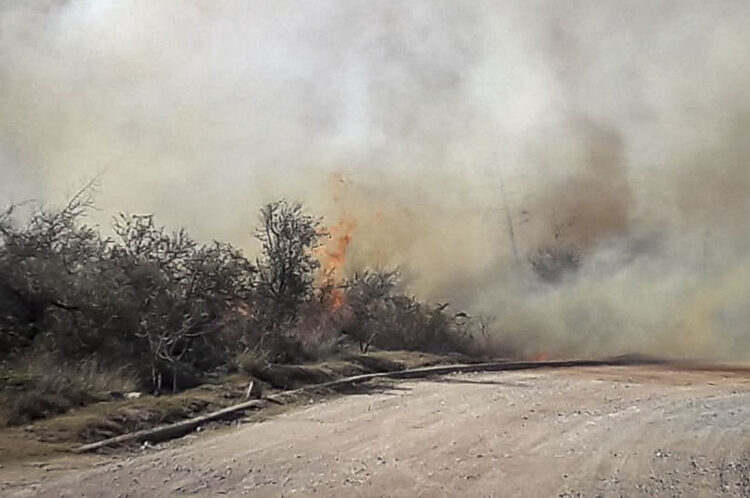 Intensa lucha contra el fuego en el Parque Quebrada del Condorito