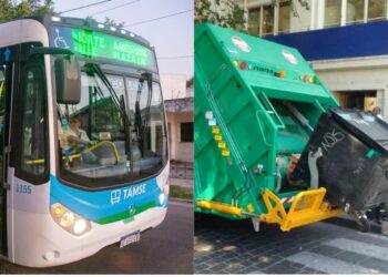 Cómo funcionarán comercios, recolección y transporte