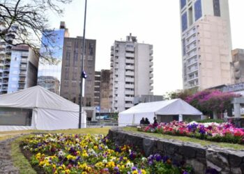 Por primera vez, en la Feria del Libro Córdoba se vive la “Experiencia Inclusiva”