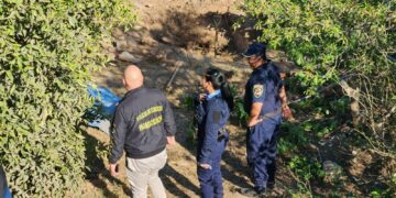 Dos hermanos serían los autores del asesinato de sus familiares e investigan si fueron enterradas