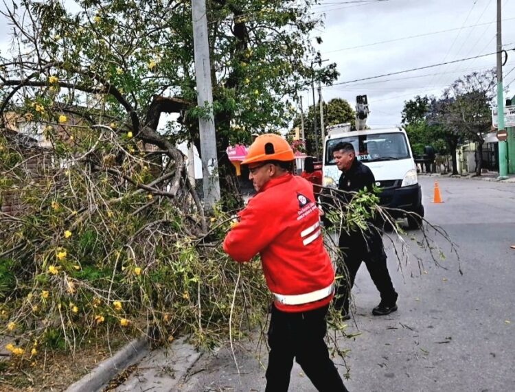 Lo que la tormenta se llevó: árboles caídos, rutas cortadas y varados en el Cerro Champaquí
