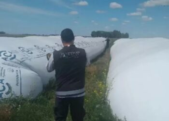 Millonaria evasión desarticulada