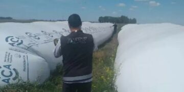 Millonaria evasión desarticulada