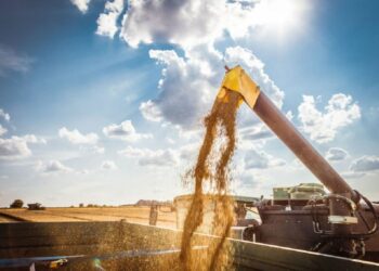 La agroindustria ya liquidó divisas por casi US$ 34.000 millones en lo que va del año