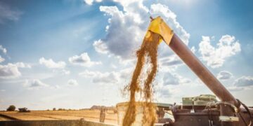 La agroindustria ya liquidó divisas por casi US$ 34.000 millones en lo que va del año