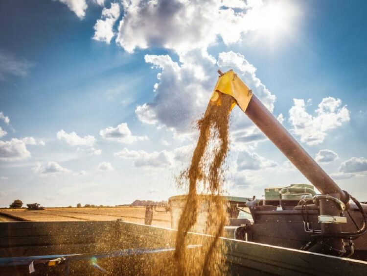 La agroindustria ya liquidó divisas por casi US$ 34.000 millones en lo que va del año