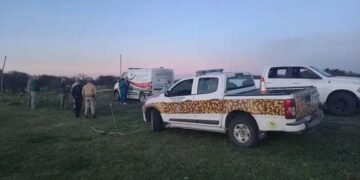 Un búfalo mató de cornazos a un turista mexicano luego de que este le disparara