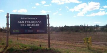 Hallaron muerta a una docente en una cisterna en el patio de su casa