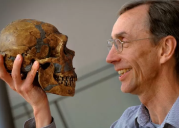 El sueco Svante Pääbo ganó el Nobel de Medicina por sus hallazgos sobre el ADN de los neandertales