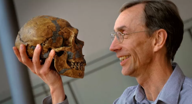 El sueco Svante Pääbo ganó el Nobel de Medicina por sus hallazgos sobre el ADN de los neandertales