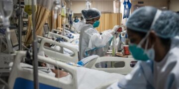 Detectan los primeros dos casos del hongo Candida auris en la Argentina