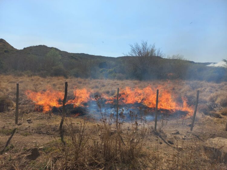 Bomberos combatían el fuego en las inmediaciones de La Cumbre