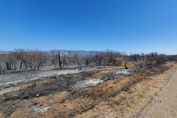 Logran contener con éxito el incendio en la zona de Salsacate