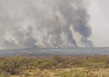 Alerta por condiciones meteorológicas de peligro para el desarrollo de incendios