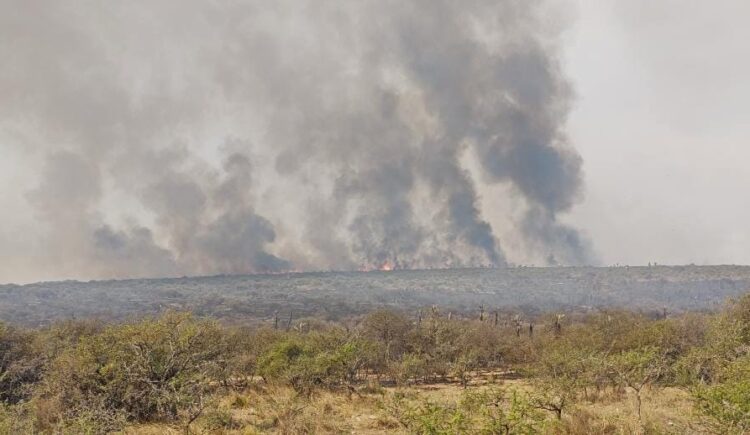 Alerta por condiciones meteorológicas de peligro para el desarrollo de incendios