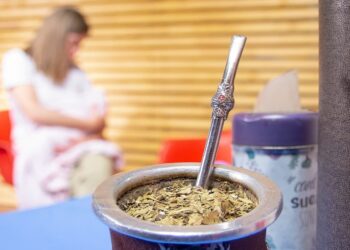 Destacan los beneficios del mate para lactantes