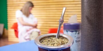 Destacan los beneficios del mate para lactantes