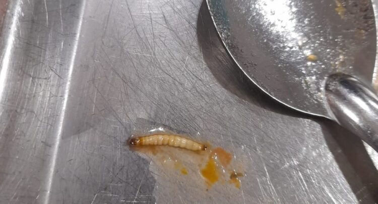 Sancionaron a una empresa prestataria del Paicor tras encontrar una larva en las viandas