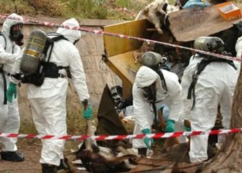 Condenan a cuatro años a un ex intendente de Córdoba que envenenó y mató a más de 200 perros