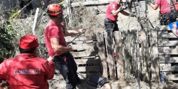 Un joven confesó que asesinó y enterró a su madre y a su tía