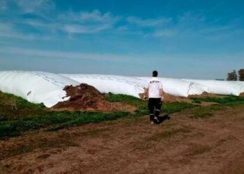 Afip incautó 3.000 toneladas de soja y maíz sin declarar