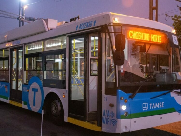 Condenan a una conductora de trolebús tras discriminar a una mujer trans