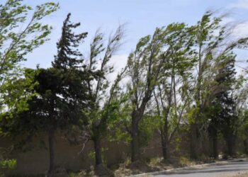 Alerta ante el ingreso de un frente frío y vientos con ráfagas de hasta 90 km/h: cuáles son las rutas cortadas