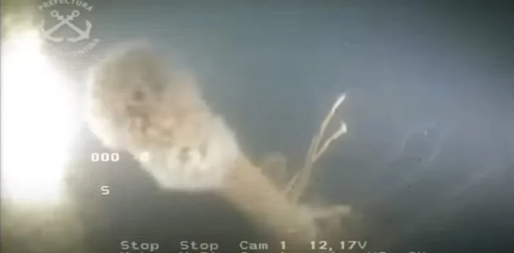 El periscopio del submarino hallado en Necochea